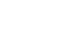 logo-the-bridge
